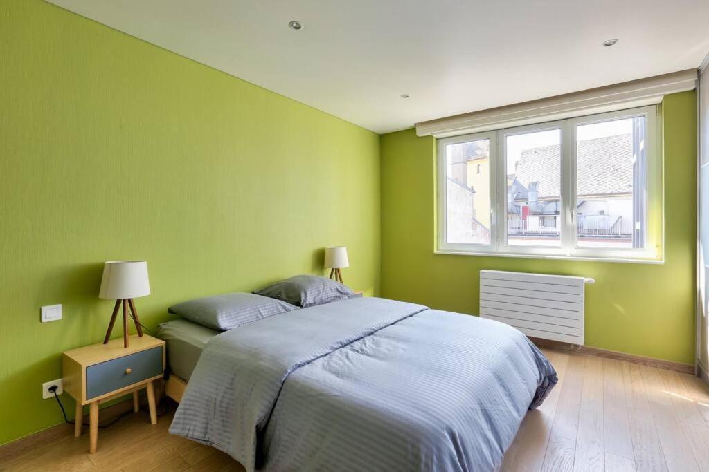 Appartement Spacieux Au Coeur De สตราสบูร์ก ภายนอก รูปภาพ